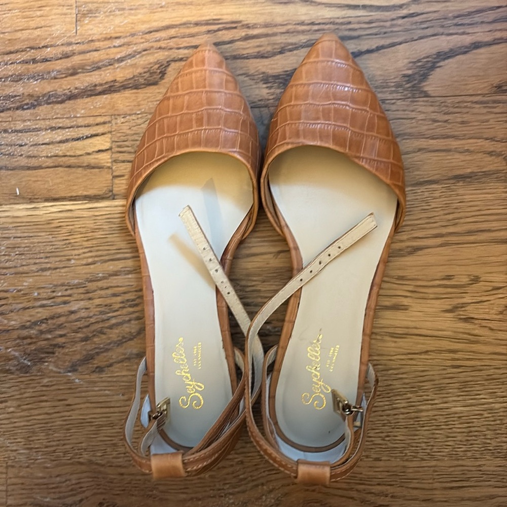 Seychelles flats